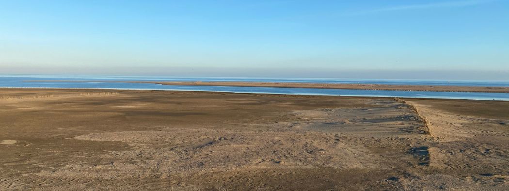 Op pad – Woud Texel Op pad – Woud Texel Toeren over Texel: de Prins Hendrikzanddijk Waarschijnlijk heb je al ontdekt hoe fantastisch je over Texel kunt fietsen. Zo’n 140 kilometerfietspad door de mooi...