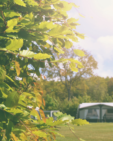 Uncategorised – Woud Texel Tiny House Tenten Jouw Tiny House Tent De zes Tiny House Tenten van Woud vind je verspreid over het kampeerterrein, tussen de kampeerplaatsen. Ze zijn ingericht...