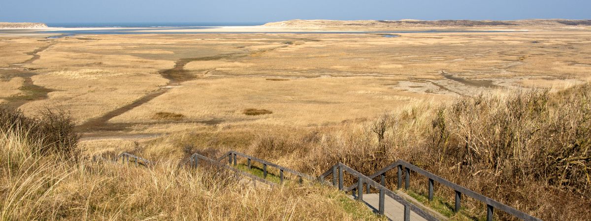 Op pad – Woud Texel Toeren over Texel: de Prins Hendrikzanddijk Waarschijnlijk heb je al ontdekt hoe fantastisch je over Texel kunt fietsen. Zo’n 140 kilometerfietspad door de mooi...