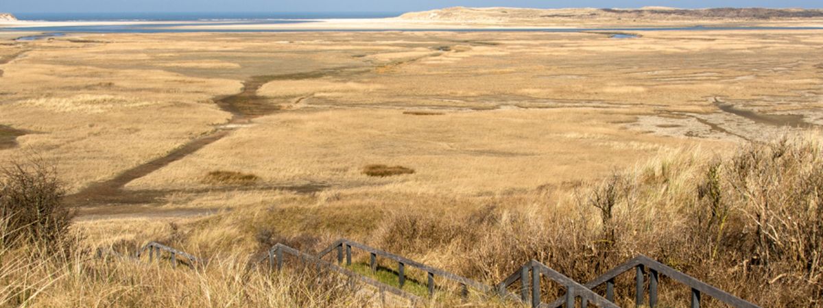Op pad – Woud Texel Toeren over Texel: de Prins Hendrikzanddijk Waarschijnlijk heb je al ontdekt hoe fantastisch je over Texel kunt fietsen. Zo’n 140 kilometerfietspad door de mooi...